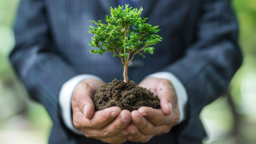 Entenda com Kelsem Ricardo Rios Lima a importância do PIB verde para equilibrar economia e meio ambiente.